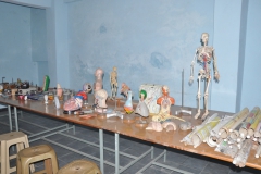 15Bio Science Lab