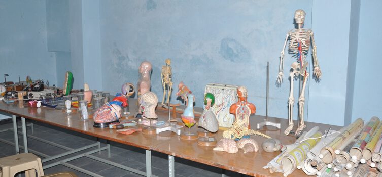 15Bio Science Lab